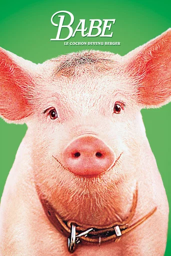 Regarder Babe, le cochon devenu berger en streaming complet