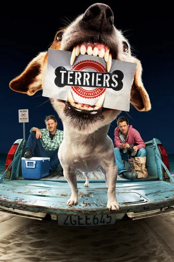 Regarder Terriers - Saison 1 en streaming complet