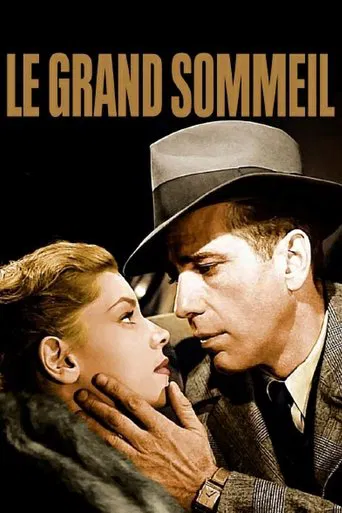 Regarder Le Grand Sommeil en streaming complet