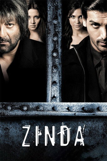 Regarder Zinda en streaming complet