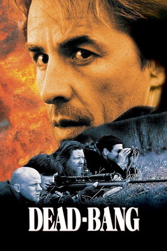 Regarder Dead Bang en streaming complet