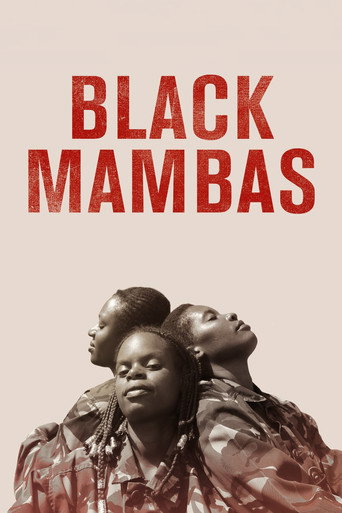 Regarder Black Mambas en streaming complet