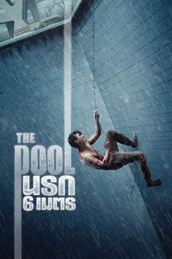 Regarder The Pool en streaming complet