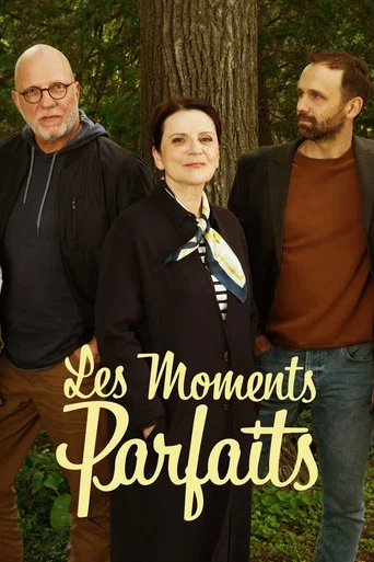 Regarder Les moments parfaits en streaming complet